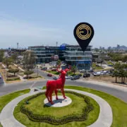 Locales Eva Encanto 5