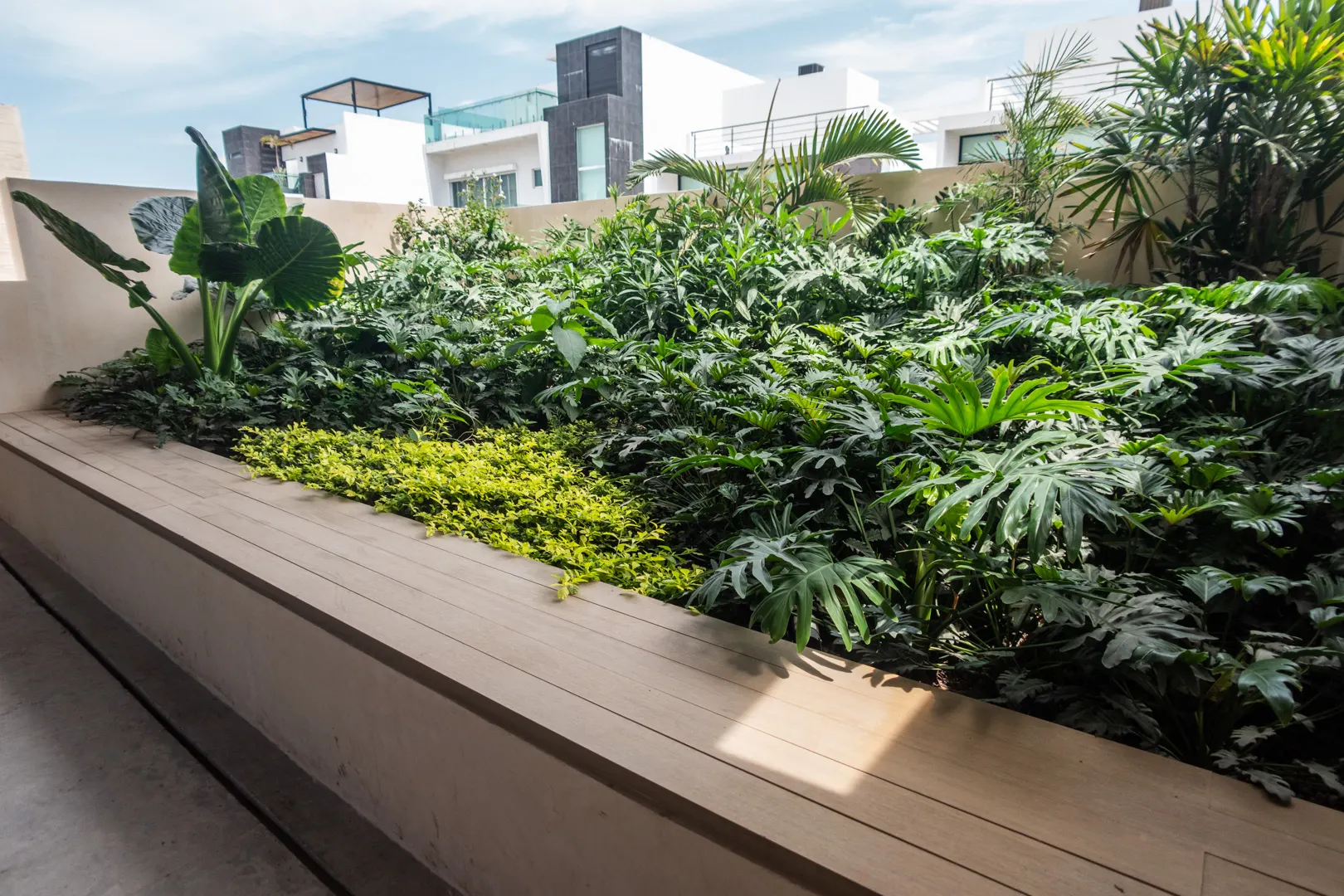 areas verdes casa renta playa brujas