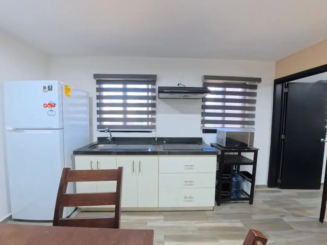 Cocina y refrigerador Departamento Venta Playa Sur