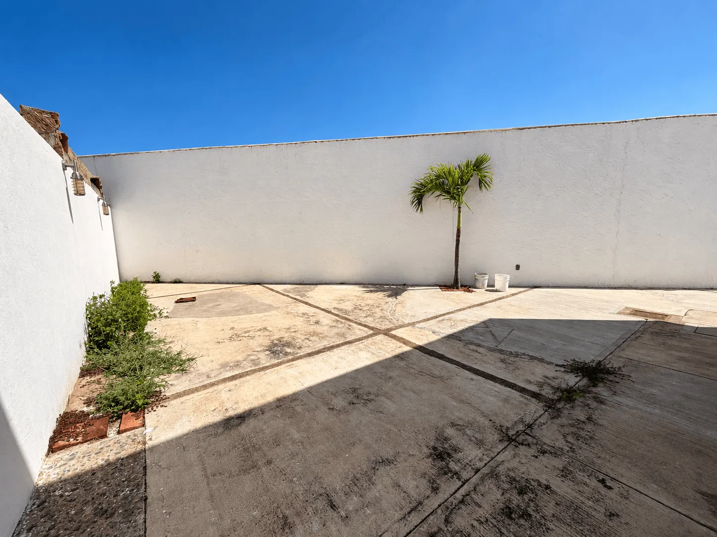 casa-renta-el-secreto-sabalo-country-mazatlan-moises-ocean-capital-group8 Patio trasero amplio con muero perimetral y area verde